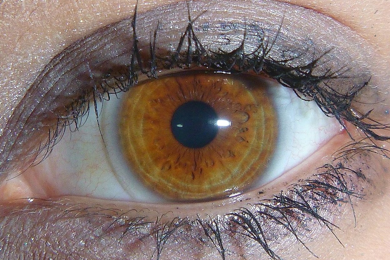 Close-up of a human eye with an amber iris