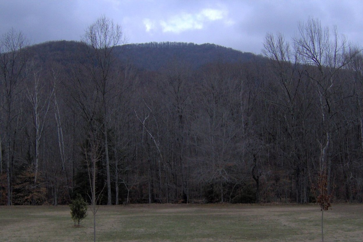 Bird Mountain in Frozen Head State Park, Tennessee, home of the Barkley Marathons