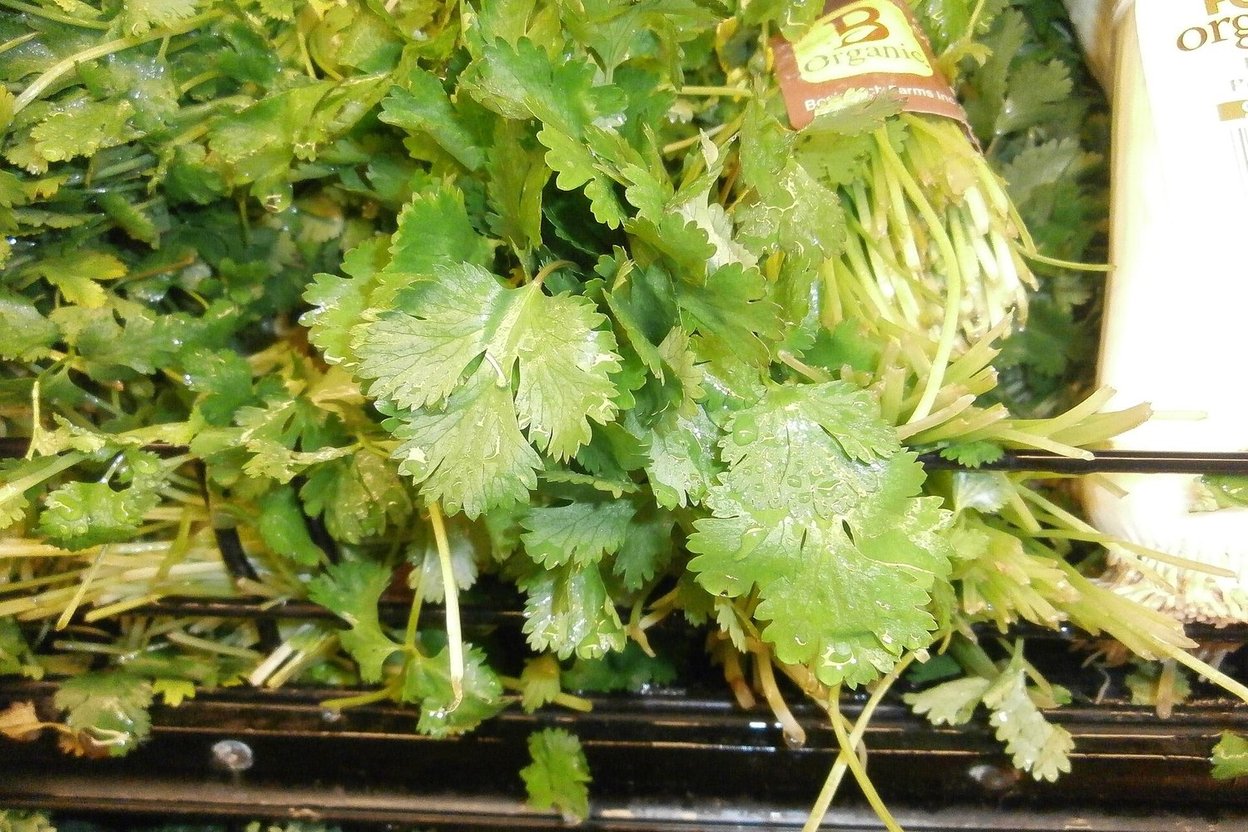 A bunch of fresh cilantro on a wooden cutting board next to a halved lime and a small bar of soap