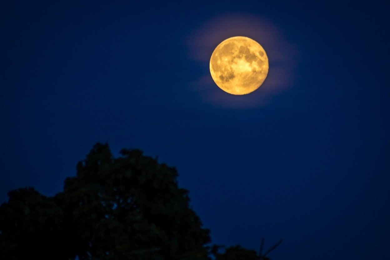 A large, bright full moon rising over a dark treeline on an autumn evening, with a clear sky.